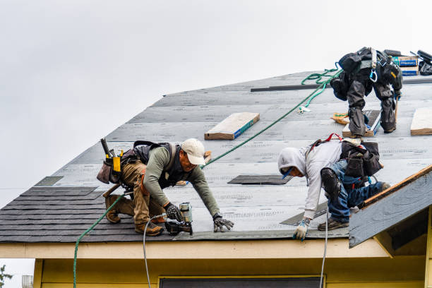 Professional Storm Damage Roof Repair technician working in Low Moor, VA